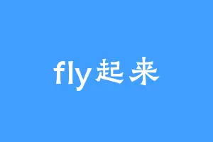 fly起来