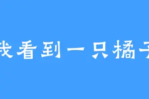 我看到一只橘子