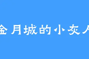 金月城的小灰人