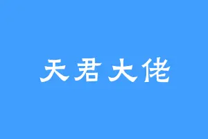 天君大佬
