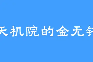 天机院的金无铭