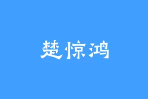 楚惊鸿