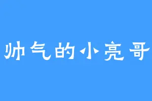 帅气的小亮哥