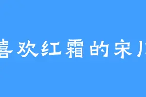 喜欢红霜的宋川