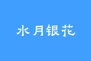 水月银花