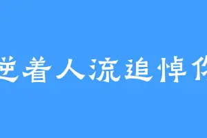 逆着人流追悼你