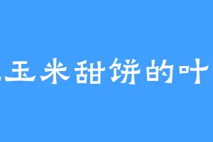 爱吃玉米甜饼的叶菲儿