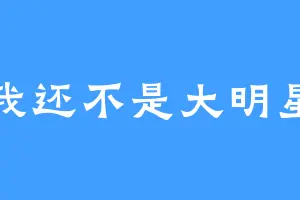 我还不是大明星