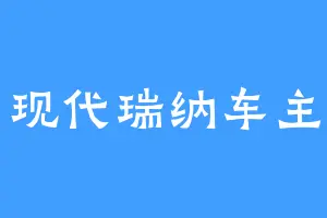 现代瑞纳车主