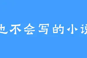 啥也不会写的小说家