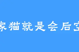 我家猫就是会后空翻