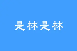 是林是林