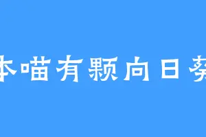 本喵有颗向日葵
