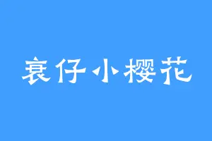 衰仔小樱花