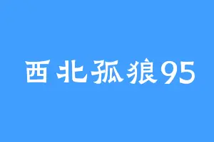 西北孤狼95