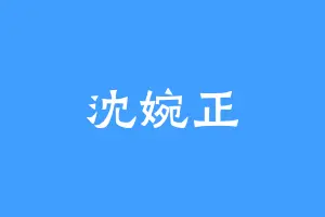 沈婉正