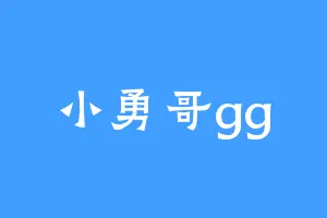 小勇哥gg