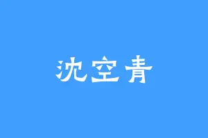 沈空青