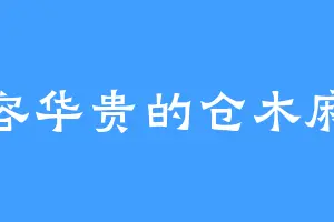 雍容华贵的仓木麻衣