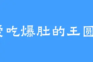 爱吃爆肚的王圆箓