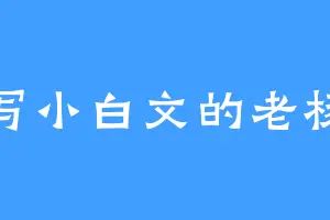 写小白文的老杨