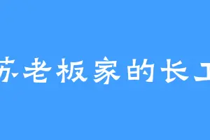 苏老板家的长工