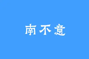 南不意
