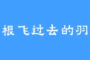 一根飞过去的羽毛
