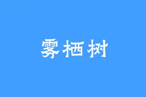 雾栖树