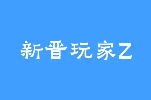 新晋玩家Z