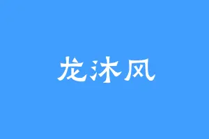 龙沐风