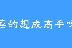 蒸的想成高手呀