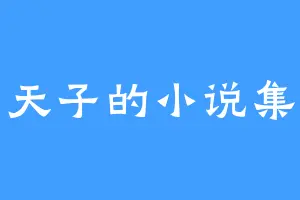 天子的小说集