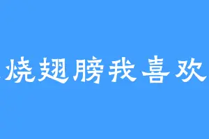 火烧翅膀我喜欢吃