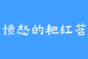 愤怒的耙红苕