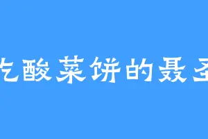 爱吃酸菜饼的聂圣王