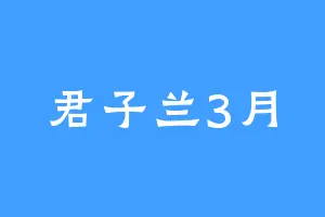 君子兰3月