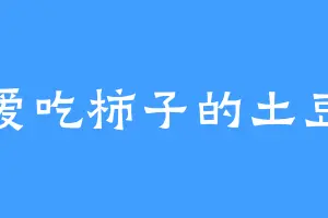 爱吃柿子的土豆