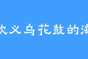喜欢义乌花鼓的海姬