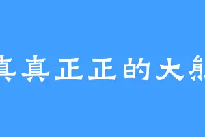 真真正正的大熊
