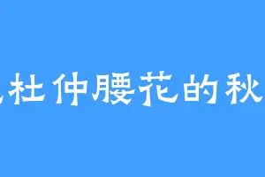 爱吃杜仲腰花的秋元阁