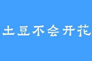 土豆不会开花