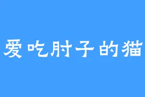 爱吃肘子的猫