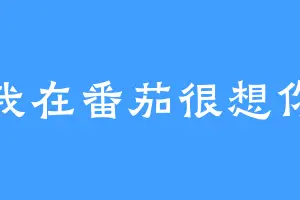 我在番茄很想你