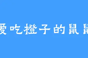 爱吃橙子的鼠鼠