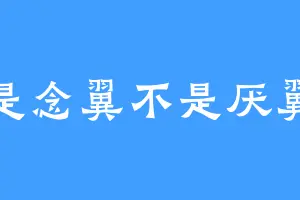 是念翼不是厌翼