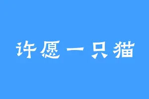 许愿一只猫