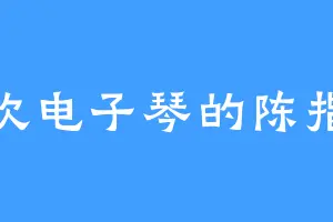 喜欢电子琴的陈指挥