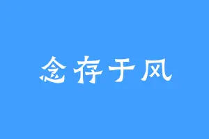 念存于风