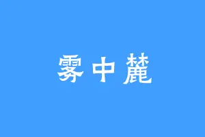 雾中麓